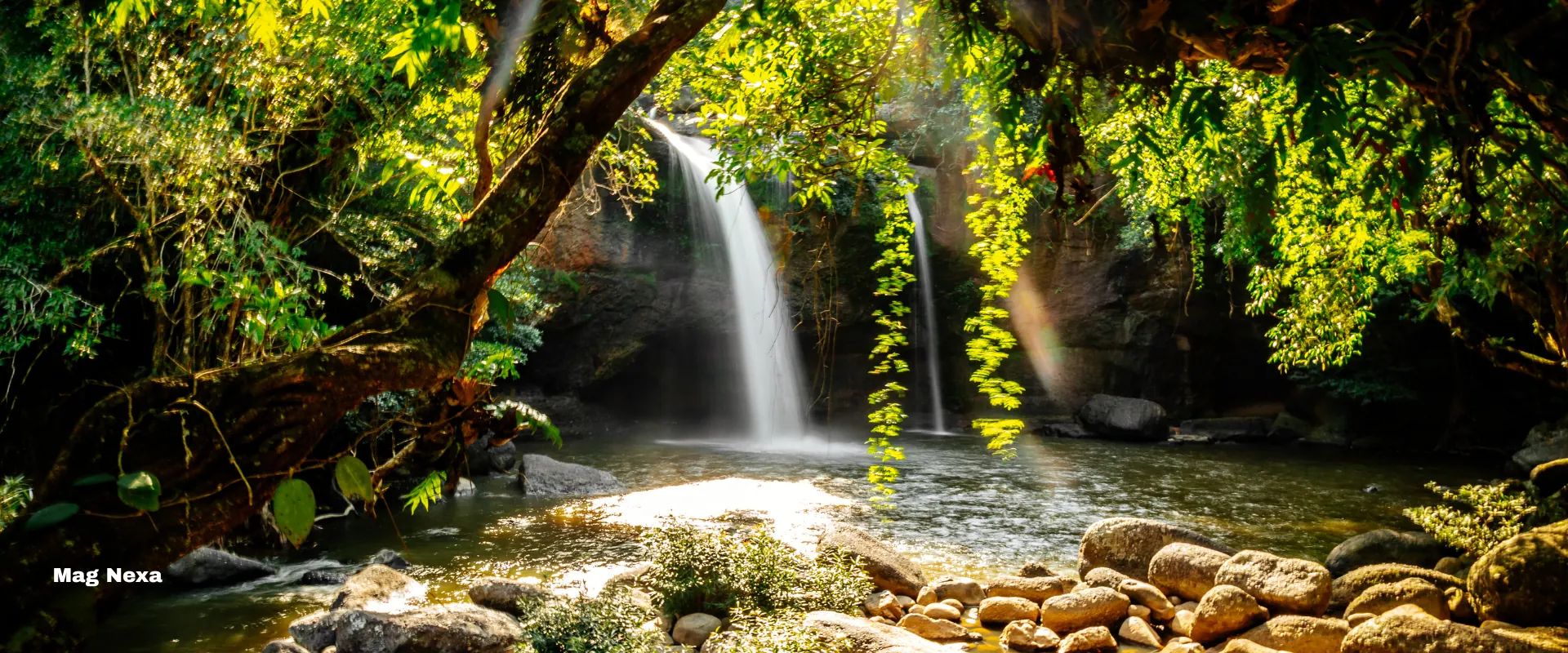 Khao Yai — a waterfall falling into a clear pool inside sunlit rainforest